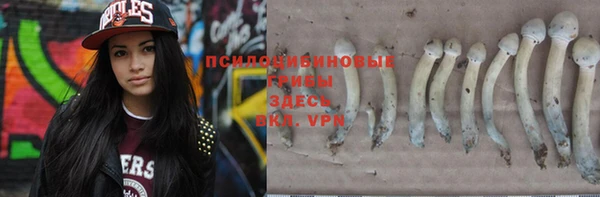 2c-b Саяногорск