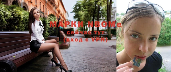крисы Сатка